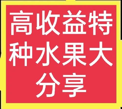 特色水果种植致富经_致富水果种植特色是什么_致富经种植三种水果亩收入过亿