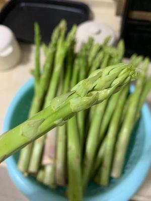 大田芦笋种植视频_种植大田芦笋技术要求_大田芦笋种植技术