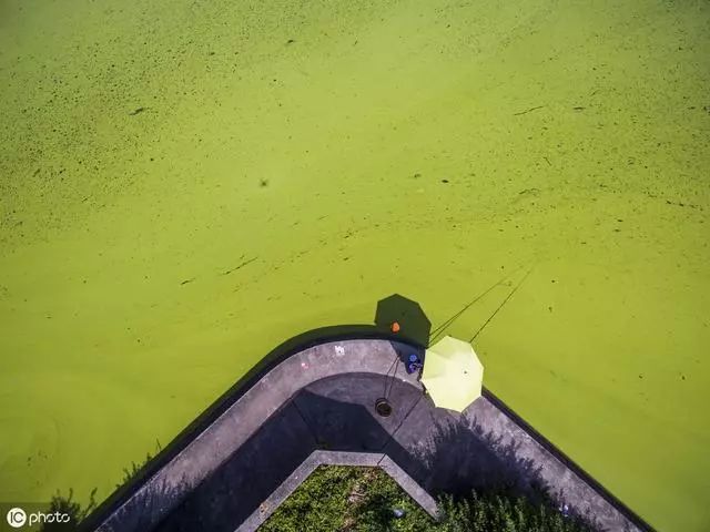 对虾的养殖温度_多高温度适合对虾养殖技术_对虾养殖最低气温