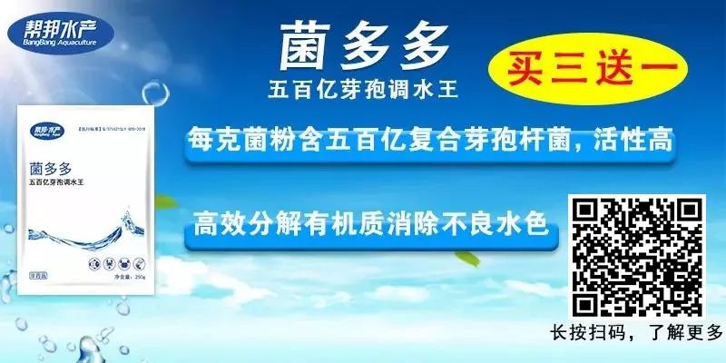 对虾的养殖温度_多高温度适合对虾养殖技术_对虾养殖最低气温