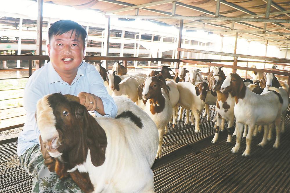 亳州市谯城区魏岗镇大陈村退役军人蒋占阳，立志返乡创业，成为带动村民致富的“领头羊”——“让更多村民通过养殖富裕起来”