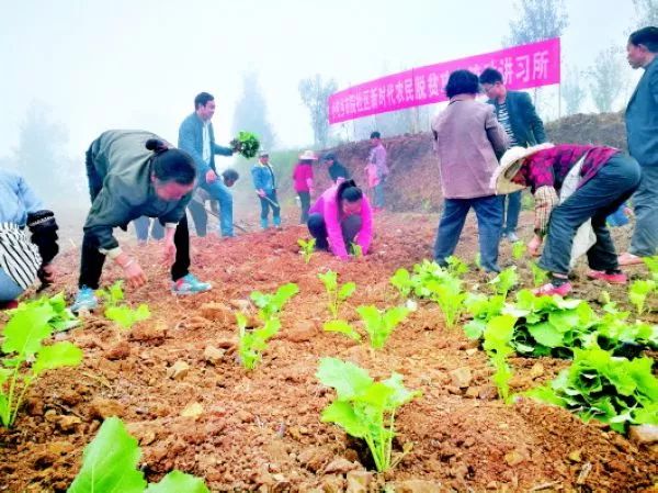 致富期货官网_致富期货交易软件_致富经158期