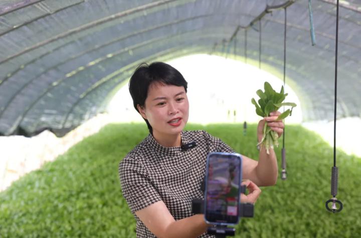 大米种植致富项目_大米致富种植项目介绍_大米种植