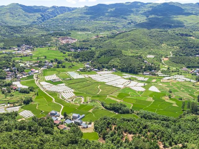 大米种植_大米致富种植项目有哪些_大米种植致富项目