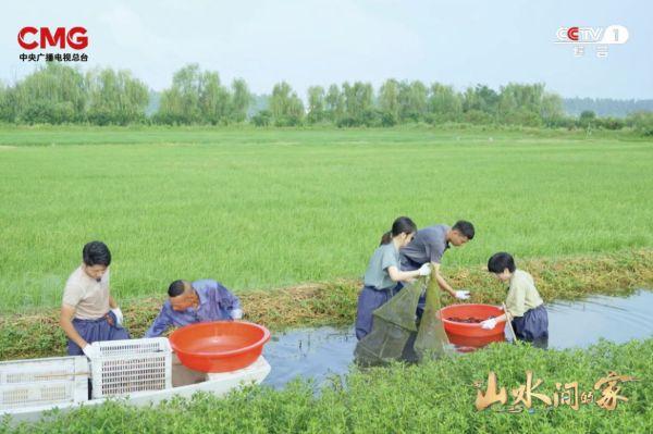 cctv农业节目致富经种植_致富种植视频全集_cctv7致富经视频采摘园