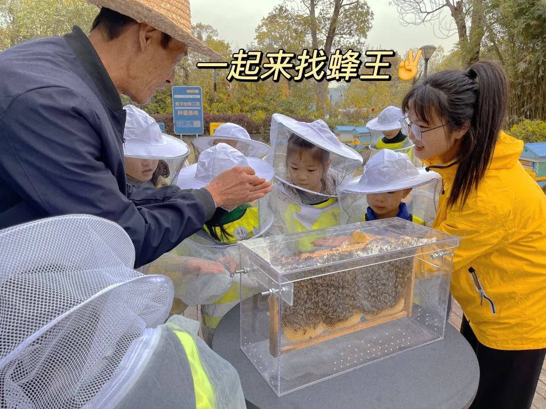 蜜蜂养殖园_致富苑蜜蜂养殖_蜜蜂养殖场