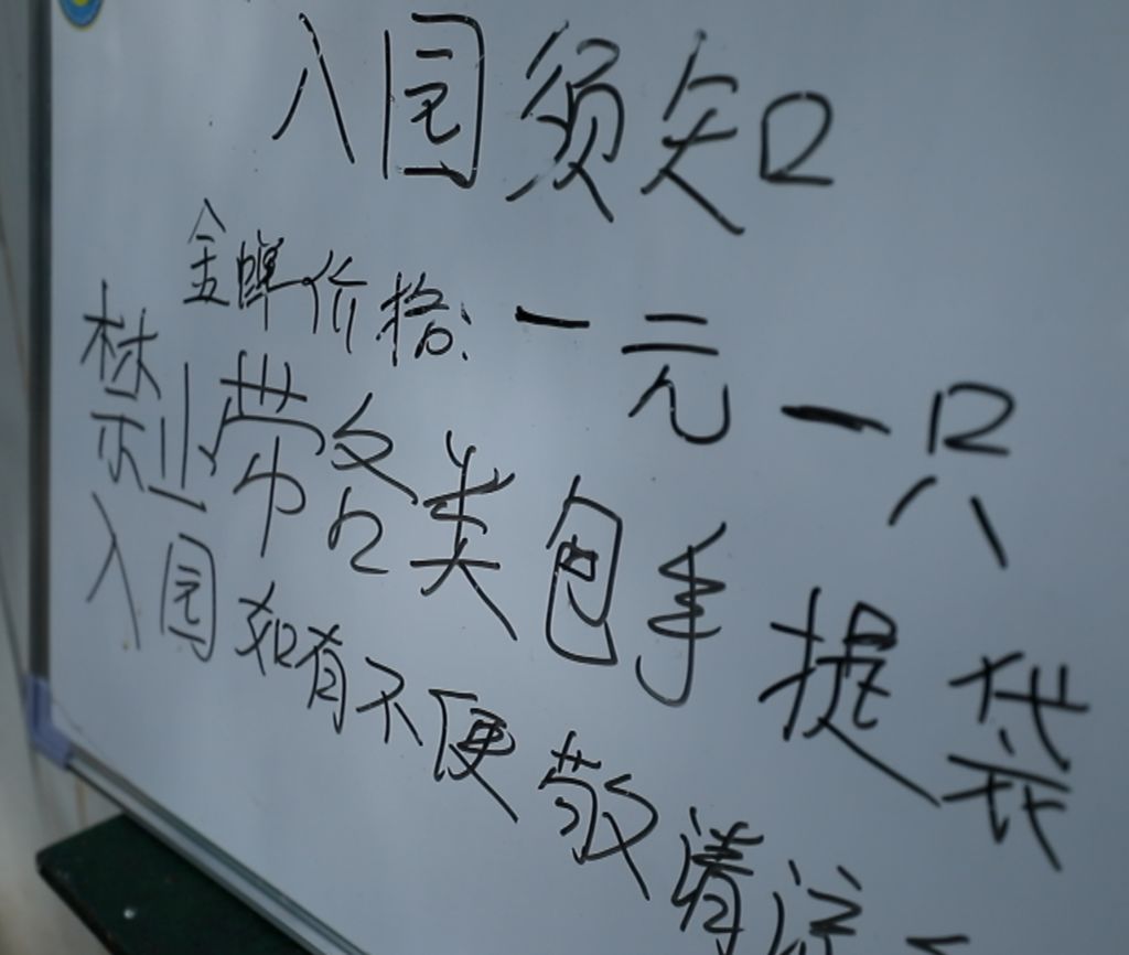 金蝉养殖的采卵技术_怎样养殖金蝉和孵化_金蝉养殖技术视频金蝉孵化