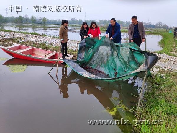 c农民刘文斌龙虾养殖闯出一条致富路