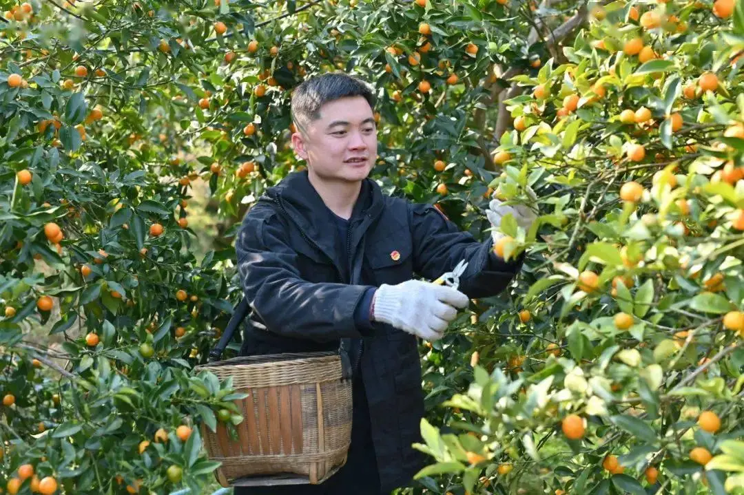 军人养殖国家补助政策_部队养殖_军人养殖致富道路