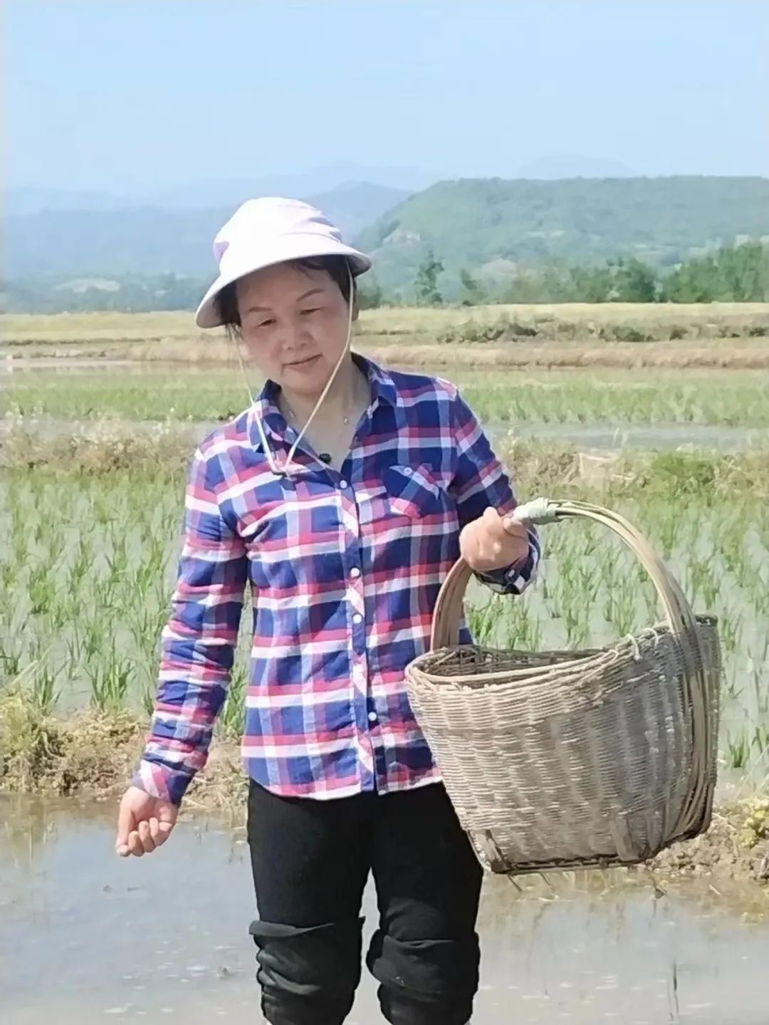 致富养殖各种面条_怀化水蛭养殖致富_保定獭兔养殖致富