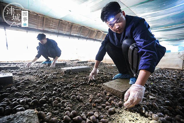 高密度养殖致富视频下载_致富经农业养殖视频_致富创业网养殖视频