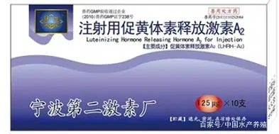 青鱼水花养殖技术_养殖水花青鱼技术要求_养殖水花青鱼技术视频