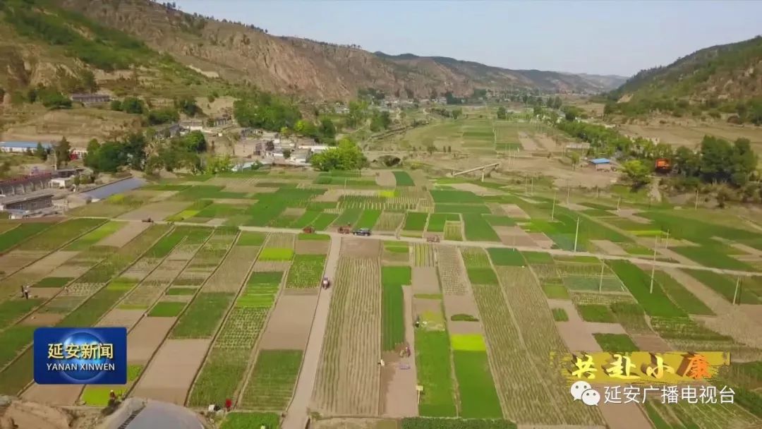 温室种植致富_温室种植视频_温室种什么最赚钱