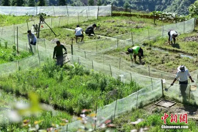 致富财经青蛙养殖_致富财经青蛙养殖_致富财经青蛙养殖