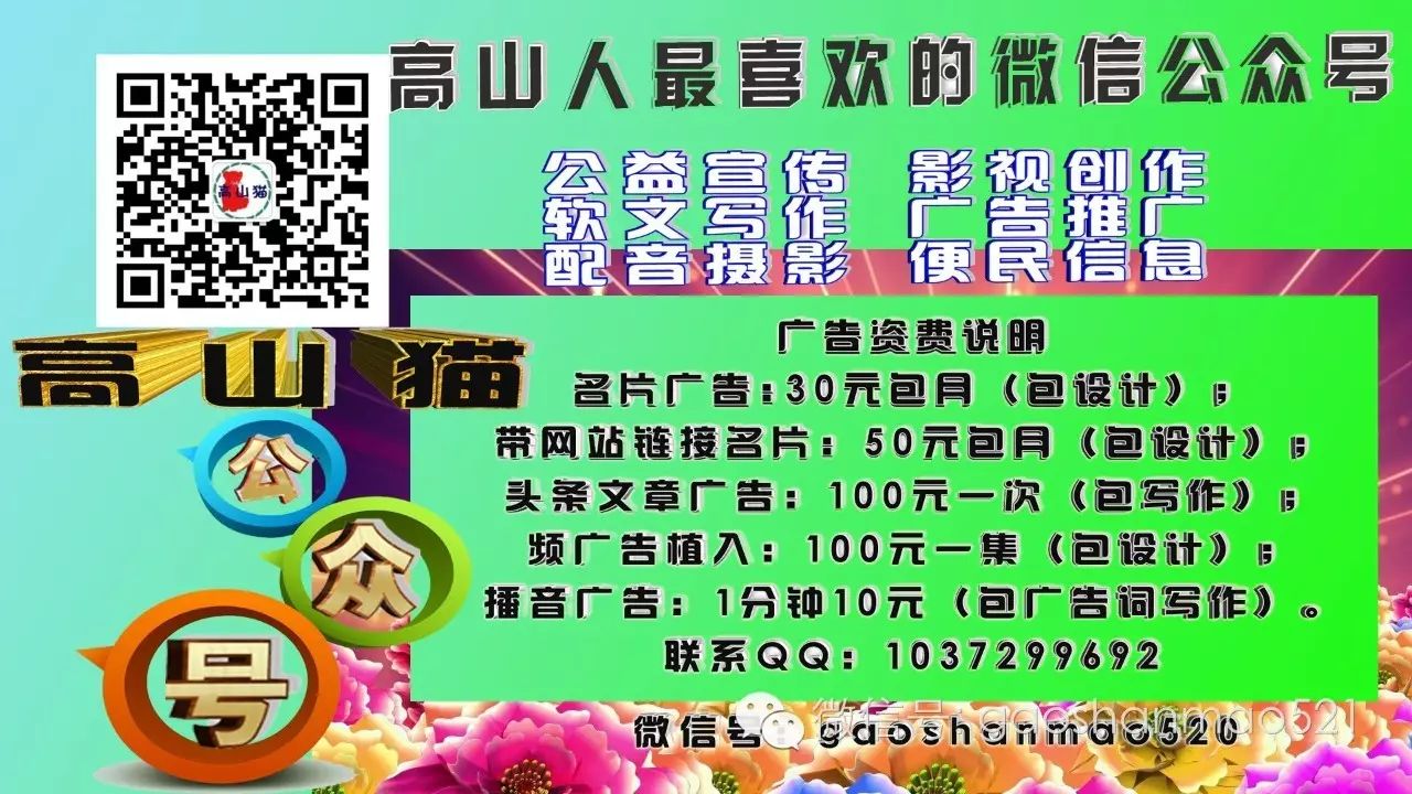 农村种植致富好项目视频_种菜视频致富经_种植致富小技术视频教程