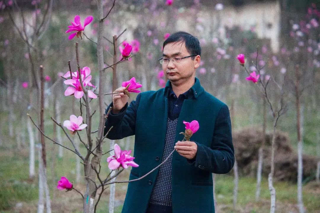 种植天麻致富百万_致富种植天麻图片_致富种植天麻怎么样