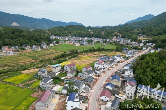 湖南农村养殖好项目_湖南农民养殖致富路段_湖南农村养殖什么比较赚钱