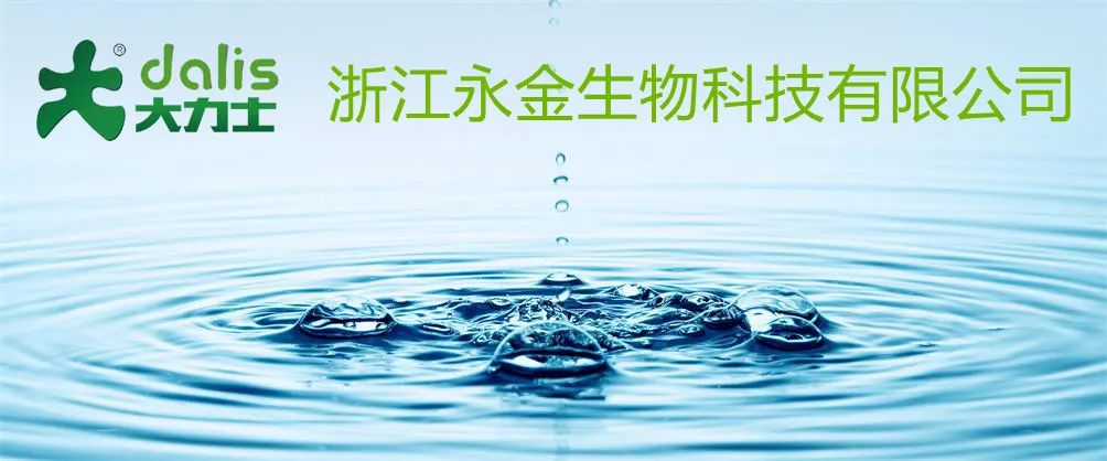 西安肉鸽养殖基地_西安大型肉鸽养殖技术_养殖西安大型技术肉鸽公司