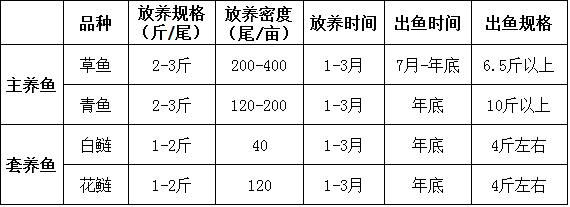 养殖草鱼青鱼技术视频_青鱼和草鱼养殖技术_草鱼青饲料养殖技术