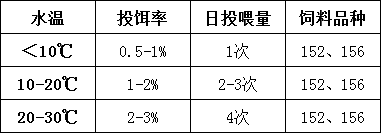 草鱼青饲料养殖技术_青鱼和草鱼养殖技术_养殖草鱼青鱼技术视频