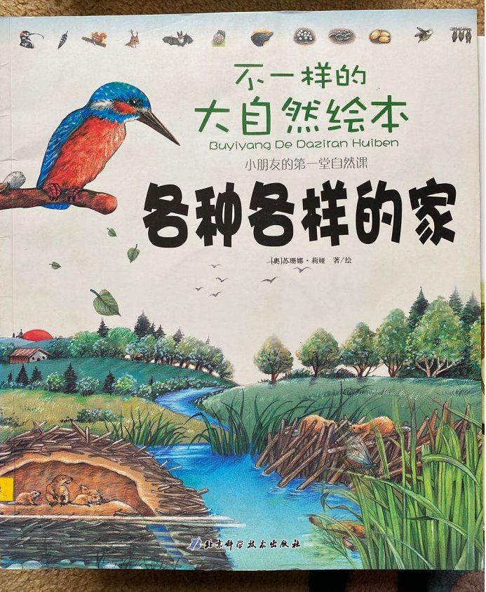 致富经养殖穿山甲视频_穿山甲养殖技术视频_人工养殖穿山甲视频