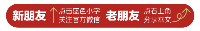 【乡村振兴】洛阳镇：“菊花”变身“致富花” 村民合力打造宜居新农村