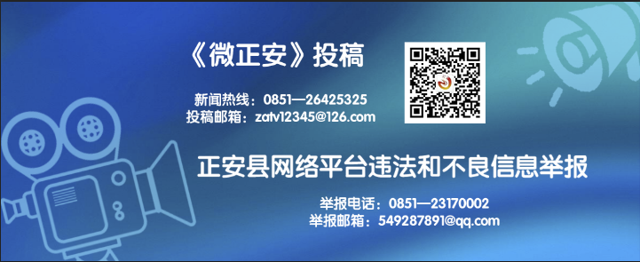 肉牛养殖增收致富_养殖肉食牛的利润_养殖肉牛赚钱吗