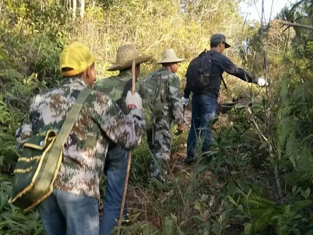 穿山甲养殖技术视频_致富经养殖穿山甲视频_穿山甲的养殖前景