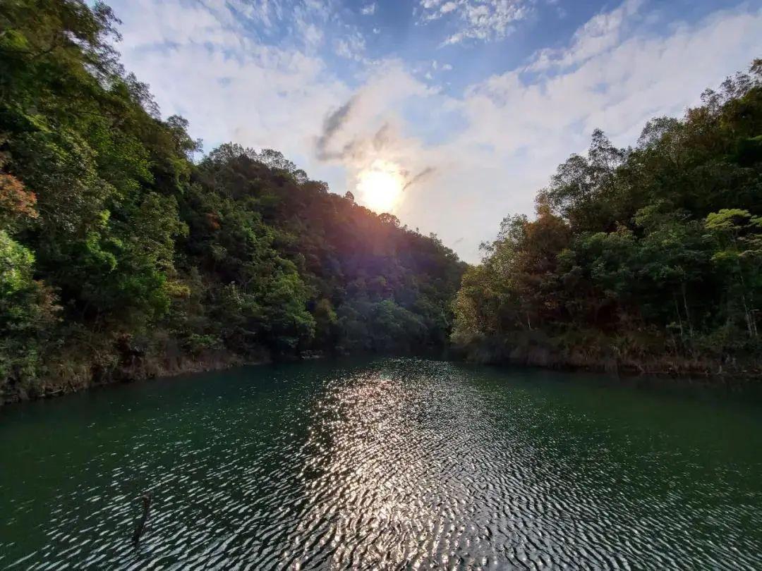 穿山甲养殖技术视频_穿山甲的养殖前景_致富经养殖穿山甲视频