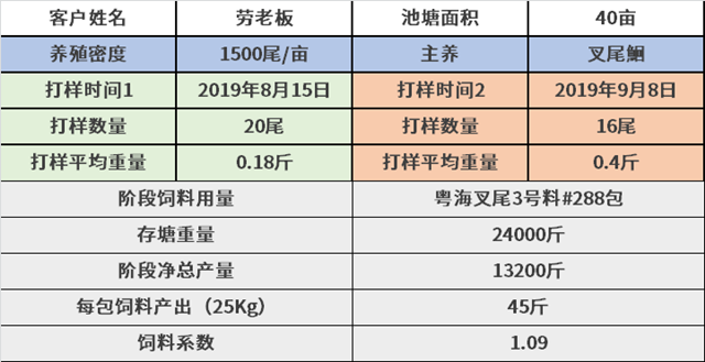 广东叉尾养殖技术_叉尾养殖模式_叉尾养殖成本