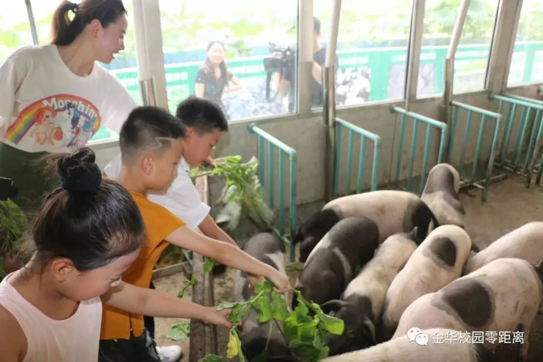 农广天地萝卜露地种植_农广天地夏萝卜种植技术_萝卜种植园