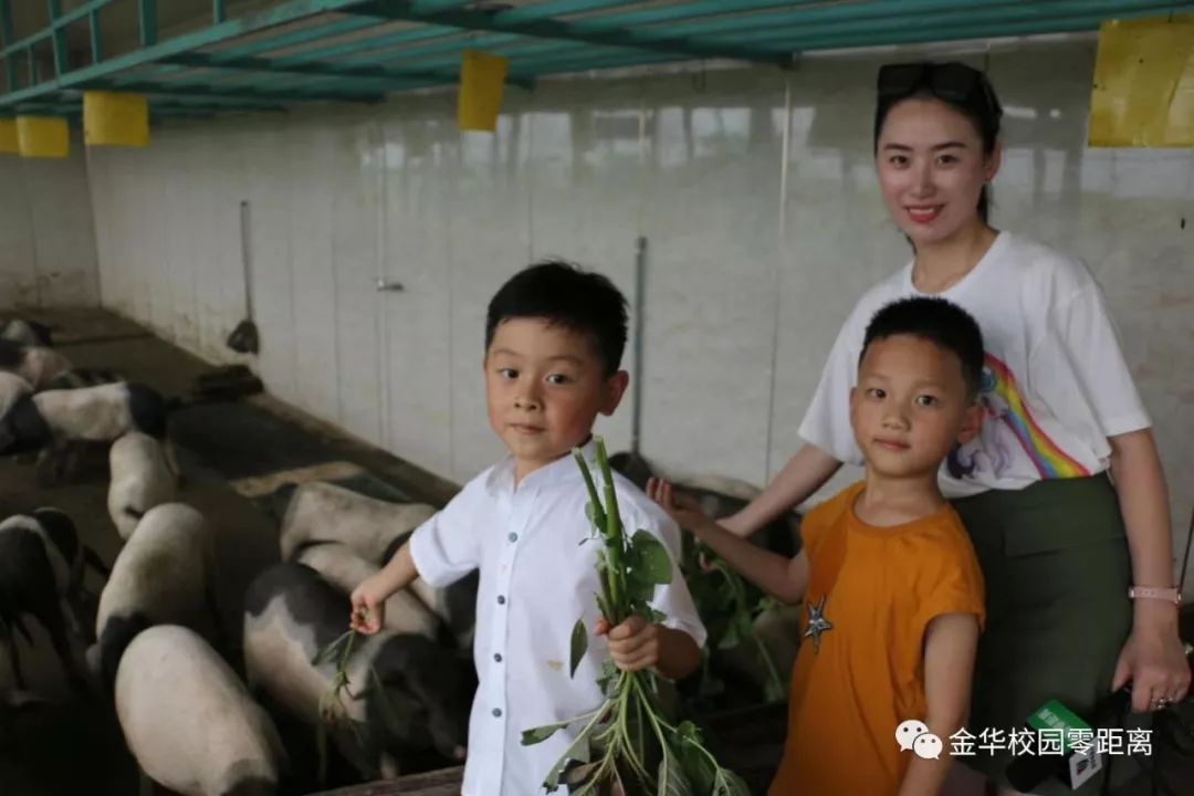 农广天地萝卜露地种植_农广天地夏萝卜种植技术_萝卜种植园