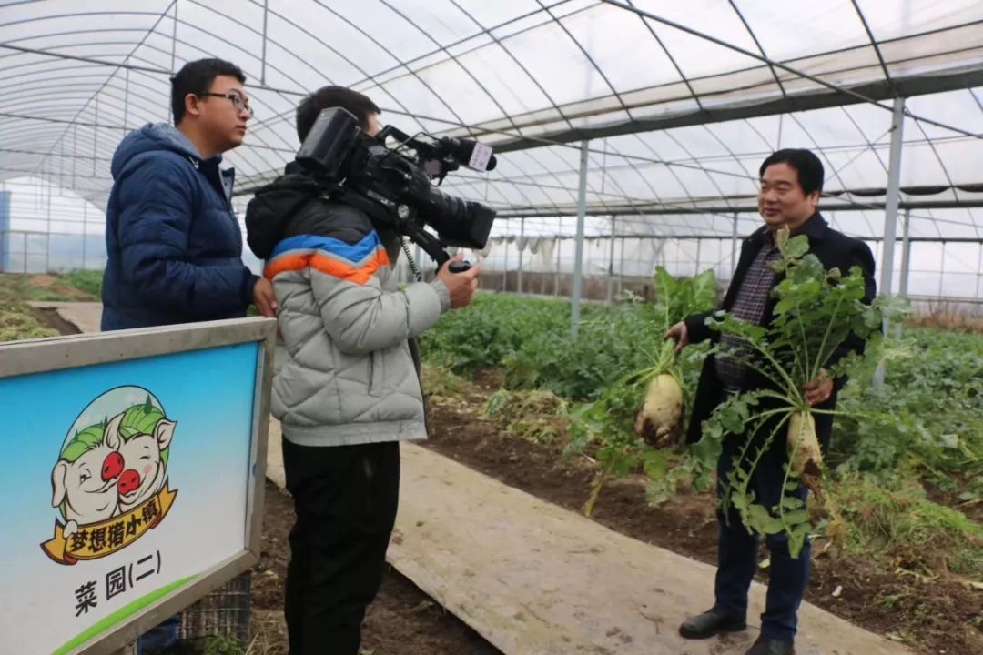 农广天地夏萝卜种植技术_农广天地萝卜露地种植_萝卜种植园