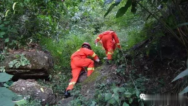 广西玉林容县：马蜂出没两度伤人，消防员“斩草除根”