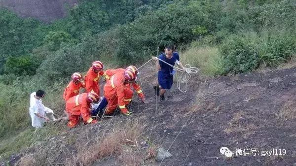 广西胡蜂养殖技术培训_广西胡蜂养殖技术公开_胡蜂养殖技术骗局