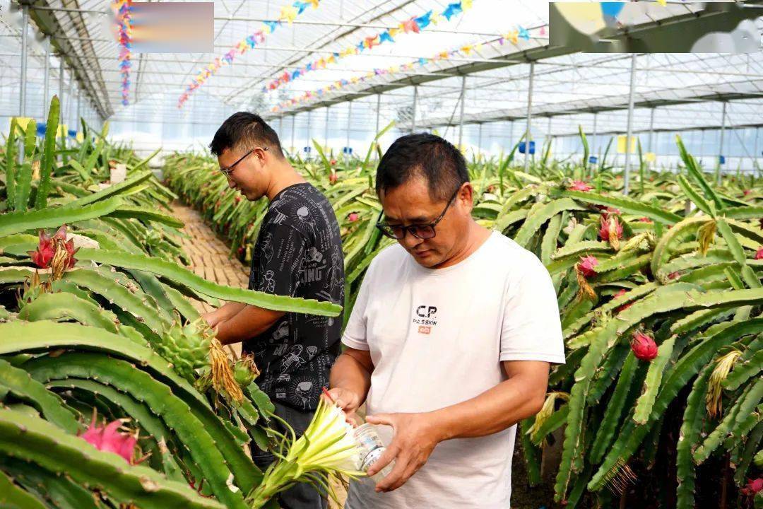 特色种植致富果_致富种植果特色是什么_致富种植果特色农产品