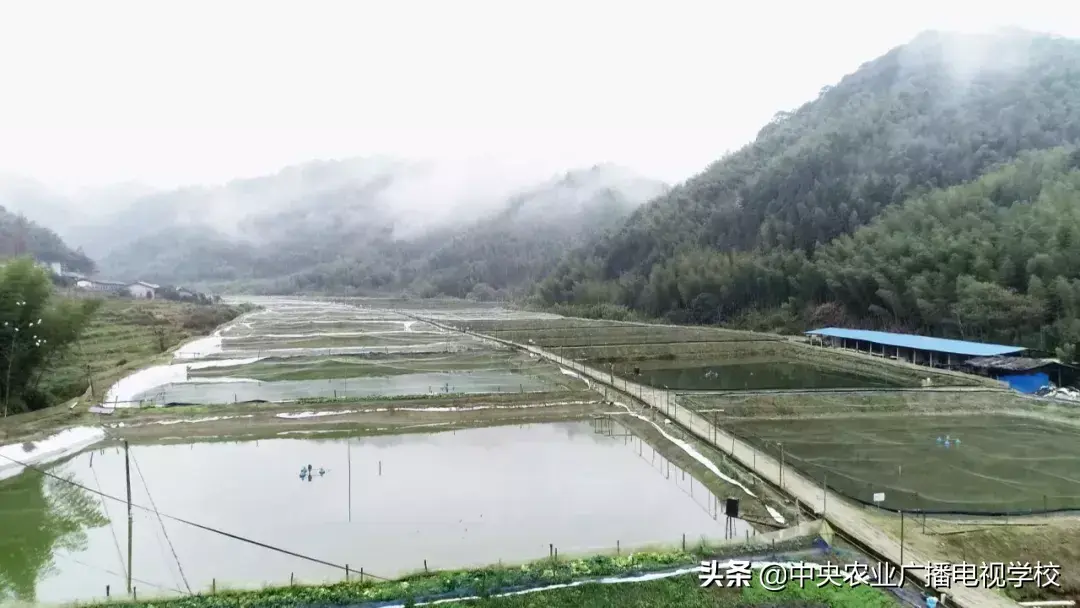 农广天地致富技术视频_致富经农广天地_农广天地致富经视平