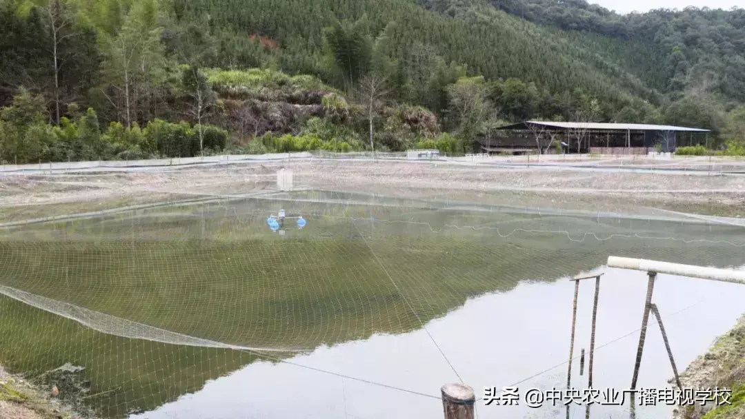 致富经农广天地_农广天地致富技术视频_农广天地致富经视平