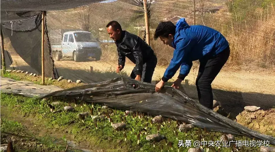 致富经农广天地_农广致富经_农广天地致富经视平