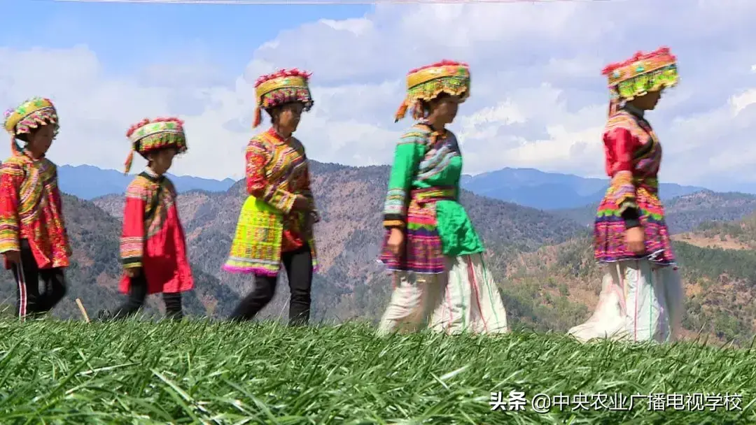 农广致富经_致富经农广天地_农广天地致富经视平