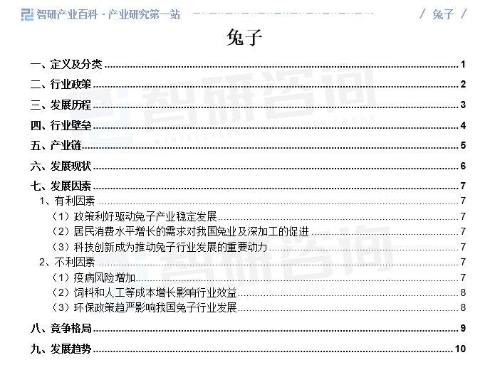 2024年中国兔子产业深度分析、投资前景及发展趋势预测（简版报告）