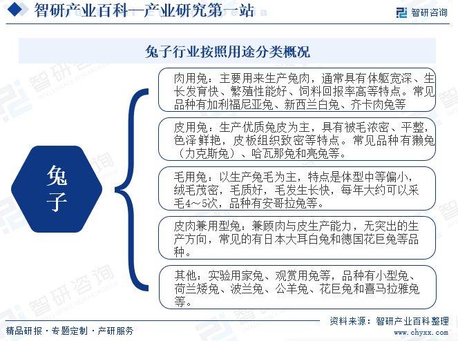 家兔养殖技术视频_视频养殖家兔技术要求_视频养殖家兔技术大全