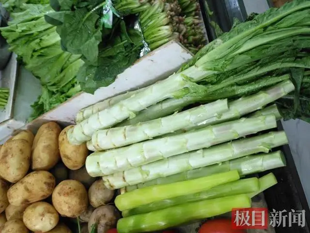 春季红莴笋种植技术视频_莴笋种法视频_莴笋种植技术和种植时间视频