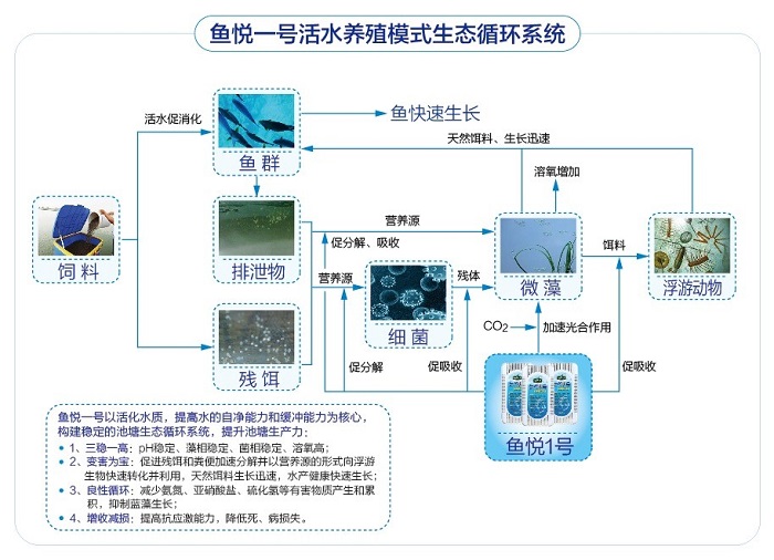 养殖水产赚钱吗_水产养殖致富能人_水产养殖带动村民增收致富