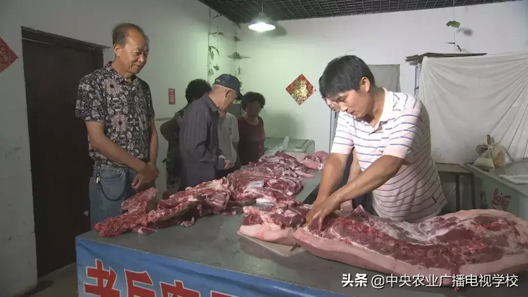 农广致富经_致富经农广天地_农广天地致富经视平