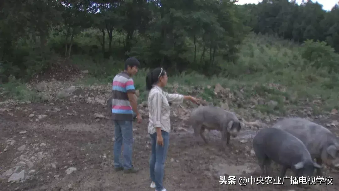 农广天地致富经视平_农广致富经_致富经农广天地