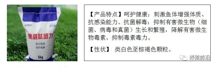 草鱼养殖技术与利润_草鱼养殖效益_高产量草鱼养殖技术