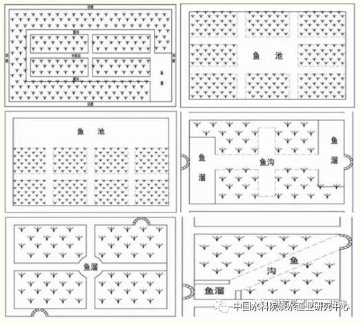 每日农经河蟹养殖技术视频_河蟹海水养殖_淡水河蟹怎么养殖技术