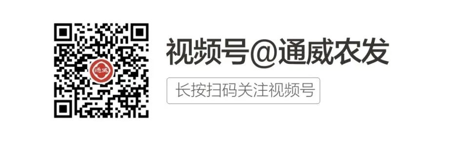 养殖产量草鱼技术高吗_高产量草鱼养殖技术_养殖产量草鱼技术高的原因