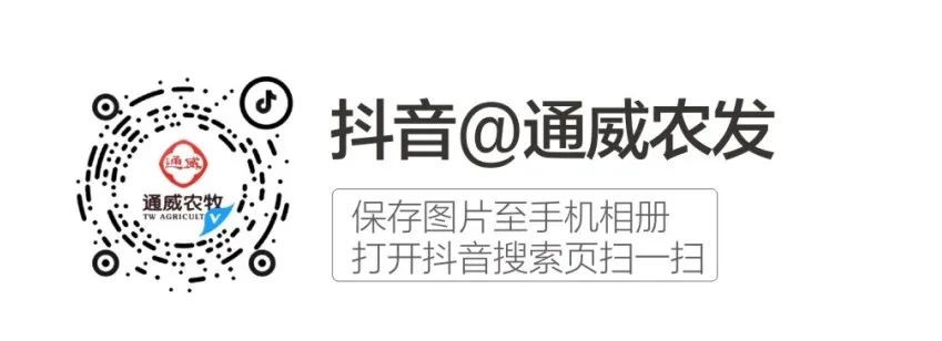 养殖产量草鱼技术高吗_养殖产量草鱼技术高的原因_高产量草鱼养殖技术